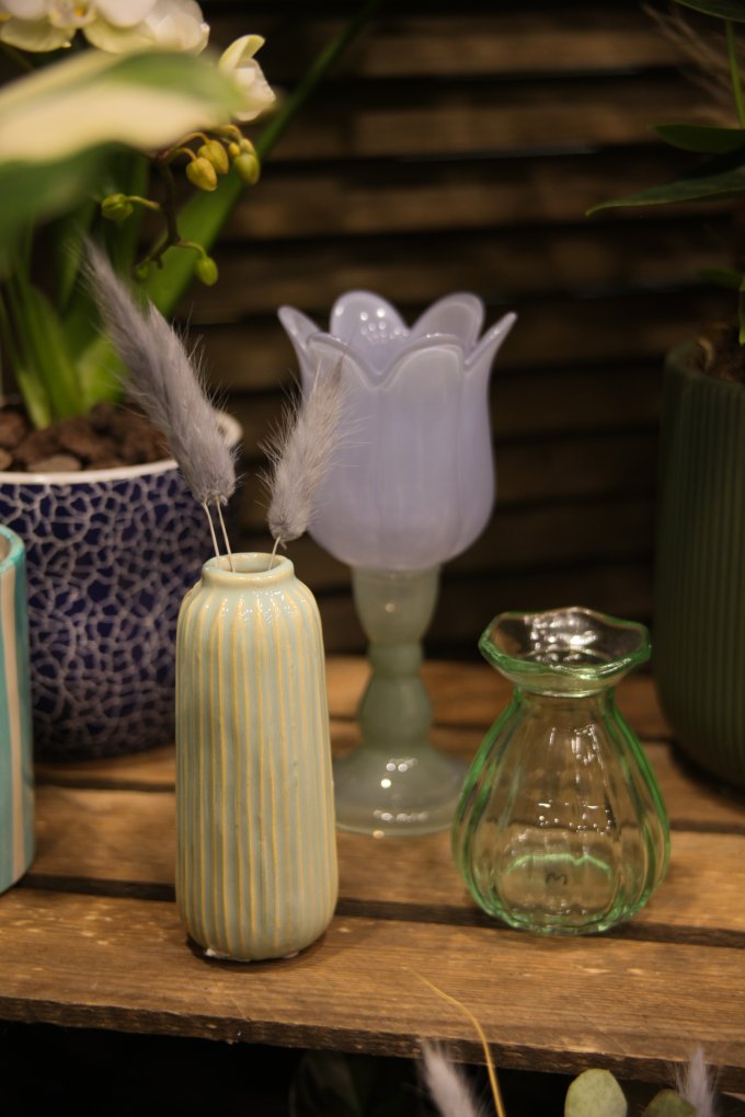 Un parfum de souvenir et de tendresse photo 27